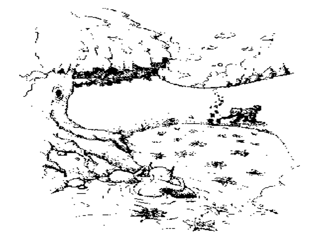 HOÀNG TỬ KHỈ